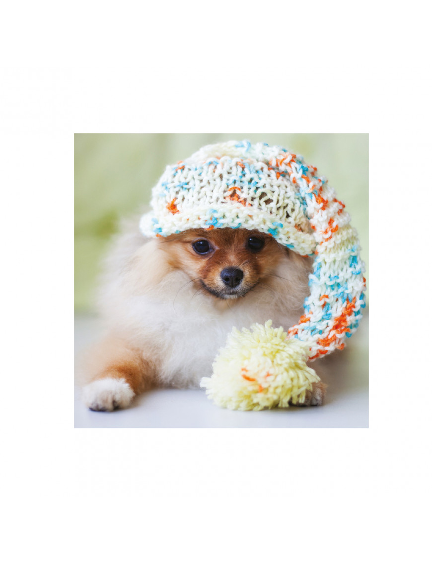 Tarjeta Perro Pomeranian con Gorro Trixie 1.61157€ - 1