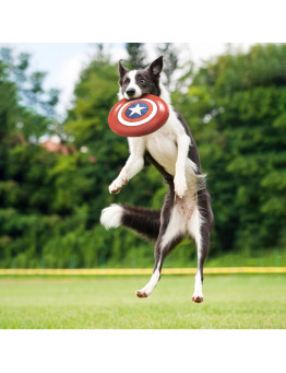 Frisbee para Perro Avengers Capitán América For Fan Pets 12.95€ - 8