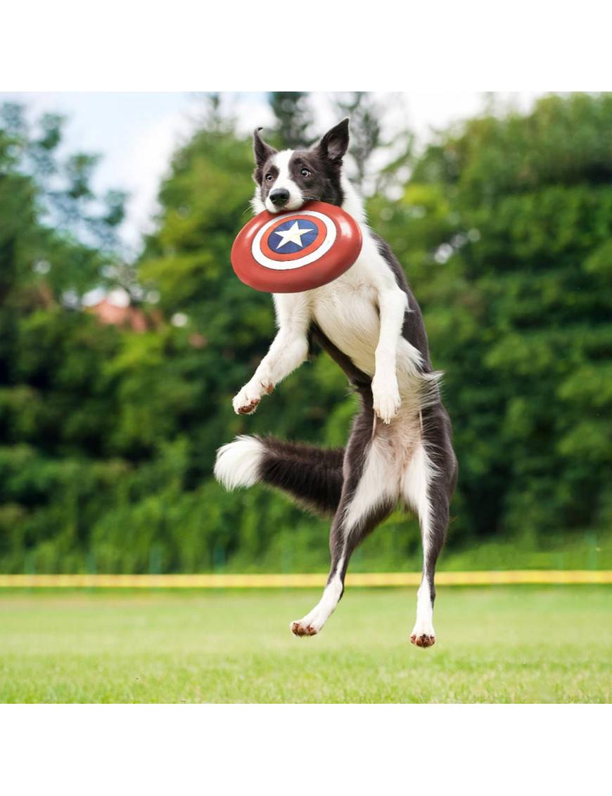 Comprar Frisbee para Perro Avengers Capitán América For Fan Pets al mejor  precio.
