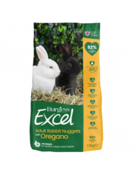 Conejo Excel adulto com Oregano Burgess 11.95€ - 1