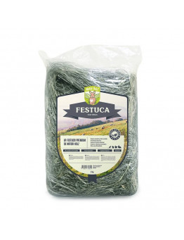 Festuca Natural Natur Holz 3.95€ - 1