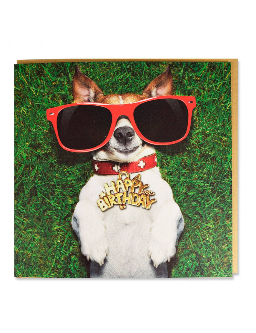 Tarjeta Jack Russel con Gafas 'Happy Birthday' Trixie 1.95€ - 1