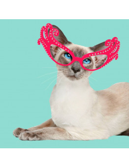 Moda Gato SiamesCartão com Gafas Trixie 1.95€ - 1