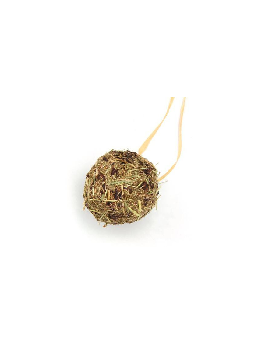 Bola Gigante de Heno Timothy con Remolacha Tastys Natur Holz 3.95€ - 1