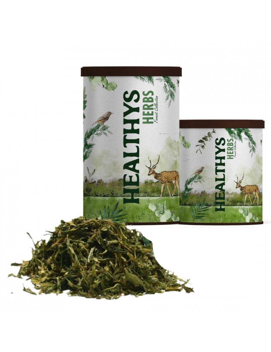 Healthys Hojas Diente de León by Natur Holz 6.25€ - 1