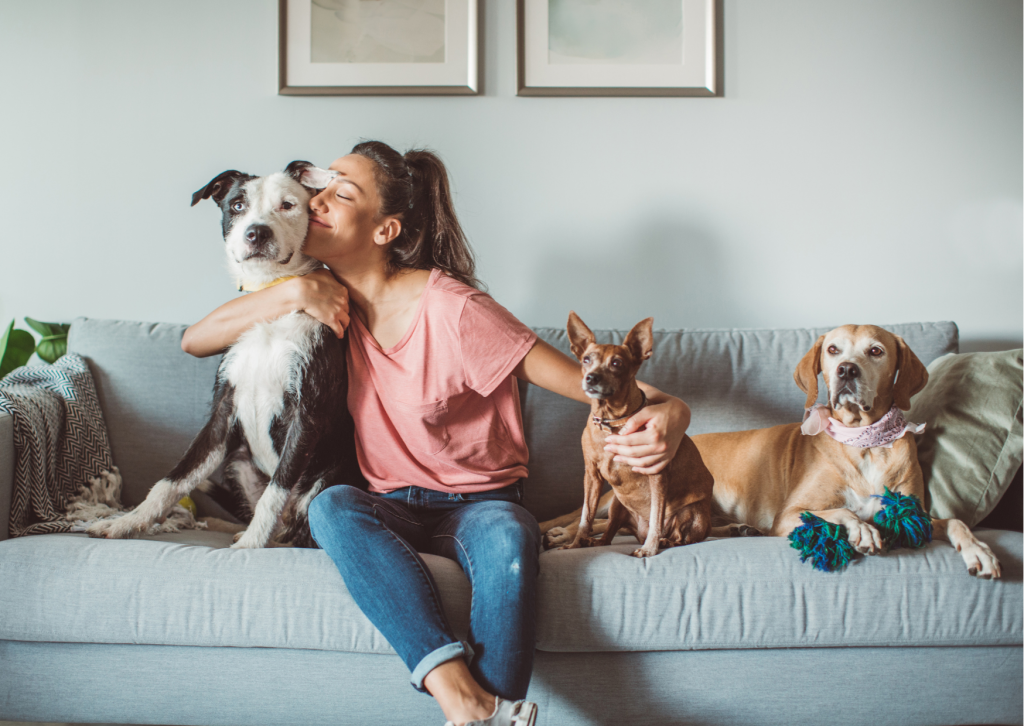 cómo ayudan los perros de apoyo emocional con la ansiedad